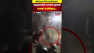 Kerala | கேரளாவில் கோயில் விழாவில் யானை தாக்கி பாகன் உயிரிழப்பு | N18S