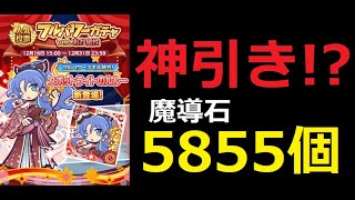 【ぷよクエ】無料で魔導石5855個！？神引き！？フルパワーガチャ！