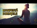 Vizualizarea si Manifestarea intențiilor | meditatie ghidata | Vibratii Inalte | 432hz