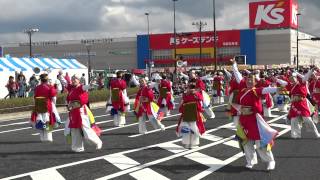 飛翠迅 『花水木』／パレード会場③／ちばYOSAKOI2014（二日目）