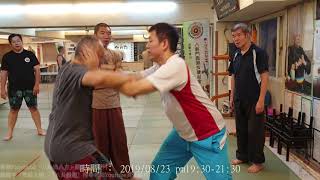 【八卦套路教學】【20190823(17)】八掌拳 白猿獻果 下墜力