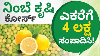 Lemon Farming Course in Kannada - How to Start Lemon Farming? | Financial Freedom App