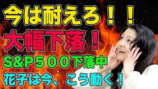 耐えろ！大幅下落！S&P500下落中、花子はこう動く