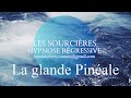 Hypnose régressive - 54 Enquête: La glande pinéale