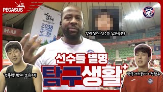 [페가수스캠] 선수단 별명, 닮은꼴은 누가 있을까요?