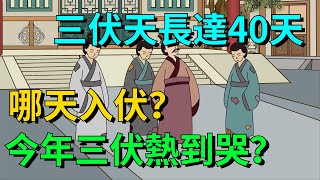 2024年三伏天時間表來了，長達40天，哪天入伏？今年三伏熱到哭？【聚慧國學】#俗語  #國學 #传统文化