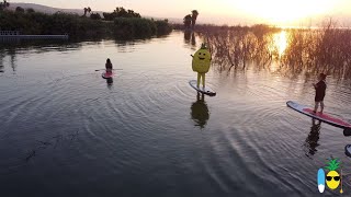 סאפ זריחה בכנרת עם מר אננס