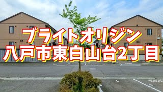 ブライトオリジン A-101／青森県八戸市東白山台2丁目／2LDK 八戸不動産情報館｜八戸市の不動産なら八代産業株式会社 賃貸、土地、中古住宅、アパート、マンション等