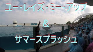 鴨川シーワールド２０１８　シャチパフォーマンス２０６　GoProでユー・レイズ・ミー・アップ＆サマースプラッシュを４Kでを撮ってみた　killer whale show