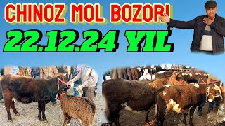 CHINOZ MOL BOZORIDA ONA -BOLA SIGIRLAR NARXLARI 🐄🐄🐄🐄💯