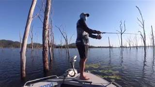 Teemburra Barra - Fish of a thousand casts - Lost fish with a consolation prize