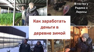 Как можно Заработать деньги в ДерЕВне. ( зимой).В гостях у Радика и Ларисы
