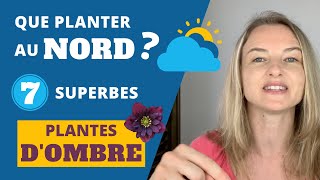 Que planter au Nord ? 7 superbes PLANTES DOMBRE ou MI OMBRE