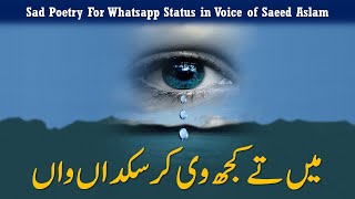 Best Poetry Mein Kujj v Kar Sakda Wan By Saeed Aslam | Punjabi Poetry Whatsapp Status 2020