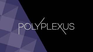 Interview with Polyplexus Co-Founder Michael Goldblatt