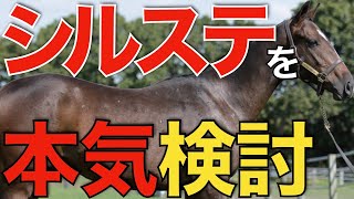 【悩みまくり】シルバーステート産駒に出資のチャンス！これは行くべきか…。