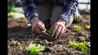 Michigan State University - Student Organic Farm Documentary - Preview Film