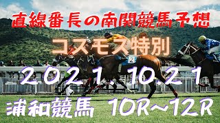 地方競馬予想【浦和競馬】10月21日　コスモス特別　１０Ｒ～１２Ｒ予想