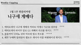 [1월1주차] 위클리커핑 '니구세 게메다'