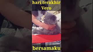 FEELINGKU TERNYATA BENAR TIDAK BIASANYA AKU NGREKAMNYA #shorts