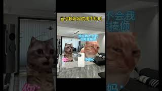 当你教妈妈使用手机 #喵不可言 #cat #喵 #猫meme #喵星人 #cute #貓 #memes #shorts #猫meme小剧场