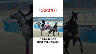 ラニの面白い雑学#競馬