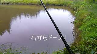 2023年09月21日(木) 右からバイト@白河野池　激突　側面　バイト　ひったくり　小バス　釣り　福島