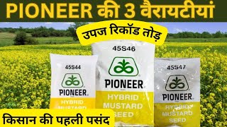 सरसों की सबसे ज्यादा उपज देने वाली 3 वैरायटी || PIONEER 45S46,45S47,45S44 || किसानों की पहली पसंद है