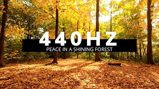 440 HZ - PEACE IN A SHINING FOREST ☼ Evacuates stress - Breathes happiness - Finds calm.