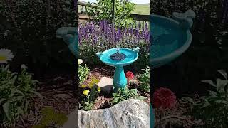 New Birdbath And Solar Fountain Https Amzn To 3vsz0r4