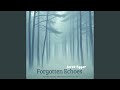 Forgotten Echoes