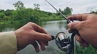 Unexpected Pike Bite on Ultralight Gear