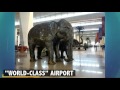 how igi airport moved from 101 rank to world s best