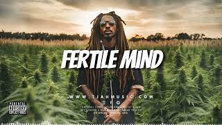 Reggae instrumental 2025 | Fertile mind riddim | Reggae beat