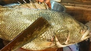 Koi kural fish cutting Skills Experts Bangladeshi big koi kural fish cutter video by fish market