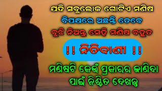 ମଣିଷ ଟି କେଉଁ ପ୍ରକାରର / Best odia trur line motivation | omq