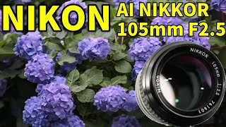 NIKON Ai Nikkor 105mm F2.5【オールドレンズ 作例 camera lens review 】