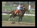 1995 Hollywood Gold Cup - Cigar