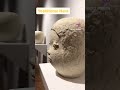 요시토모 나라 개인전 yoshitomo nara ceramic works 서울 한남동 무료 전시회 추천 페이스갤러리 서울 pace gallery seoul artshorts