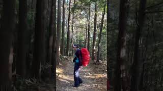 往高原熊野神社的路上