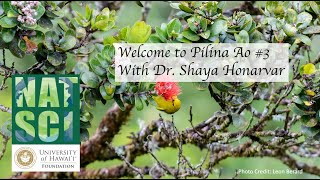 CNS Webinar #3 Pilina Ao Shaya Honarvar