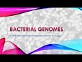 Bacterial Genome Sequencing: Part 2: Read Quality and Assembly