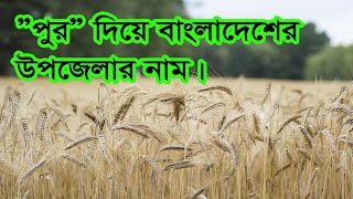 ”পুর” দিয়ে বাংলাদেশের উপজেলার নাম।