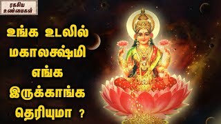 உங்க உடலில் மகாலக்ஷ்மி எங்க இருக்காங்க தெரியுமா ? || ரகசிய உண்மைகள்