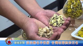 1041113【聯維新聞】沒沒無名半世紀 台灣杭菊終於正名(記者 林至涵)