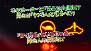 謎の「光るカメ」がメーターに？ その意味は？ 青い輝きも注目！ 見た人々の反応は | 車の話