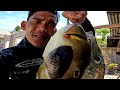 LAMI KAAYO😋 | INIHAW ay the best para sa nilagang SAGING at DAYOK🤤 #spearfishingphilippines #gopro