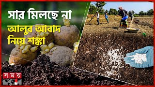 মুন্সীগঞ্জে বীজ আলুর দাম বেড়ে ৩ গুণ | Munshiganj News | Potato Cultivation | Fertilizer Price