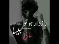 Choose the Best Novels Characters|Whatsapp Status|Best Urdu Novels|Famous Characters Of Urdu Novels