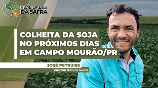 Colheita da soja deve começar nos próximos dias em Campo Mourão/PR